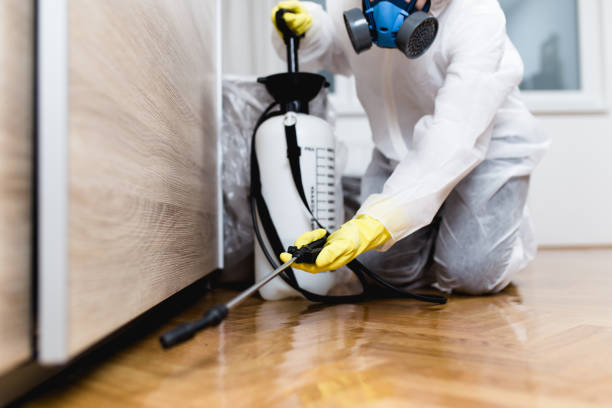 Best Pest Control Treatment  in Meron Park, CA