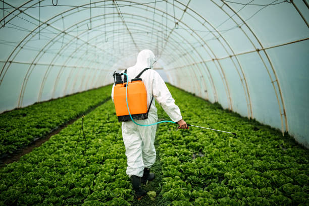 Best Pest Control Near Me  in Meron Park, CA