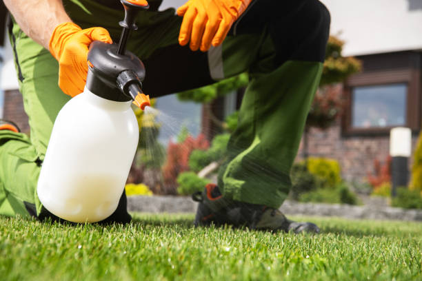 Best Rodent Control Near Me  in Meron Park, CA