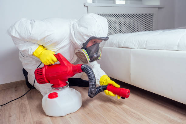 Best Best Pest Control Companies  in Meron Park, CA